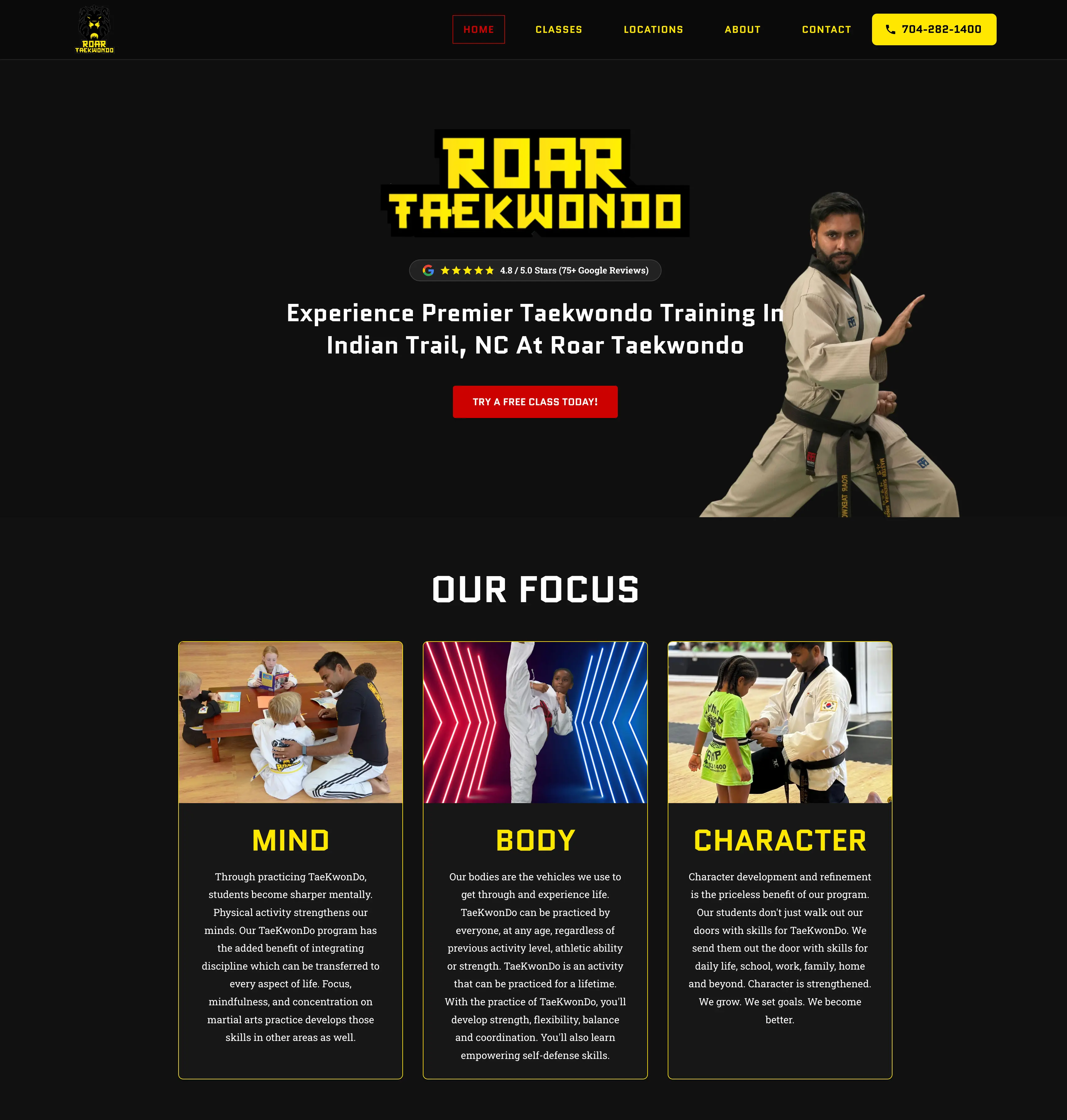 Roar Taekwondo Website Preview
